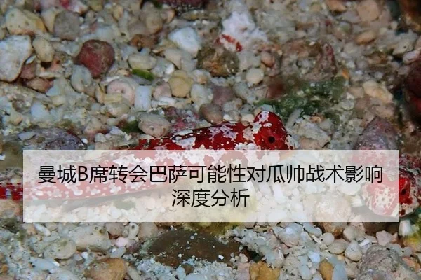 man-cheng-xi-zhuan-hui-ba-sa-ke-neng-xing-dui-gua-shuai-zhan-shu-ying-xiang-shen-du-fen-xi-2-334.jpg