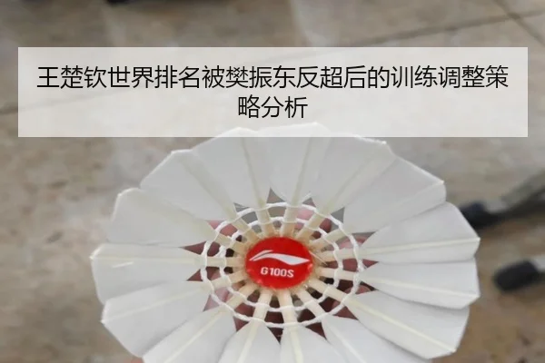 wang-chu-qin-shi-jie-pai-ming-bei-fan-zhen-dong-fan-chao-hou-de-xun-lian-tiao-zheng-ce-lve-fen-xi-2-775.jpg